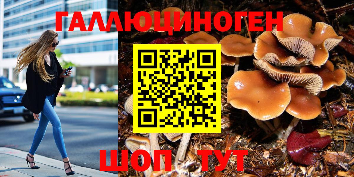 Псилоцибиновые грибы мухоморы  Вход с VPN  Галлюциногенные грибы Cubensis  Артём 