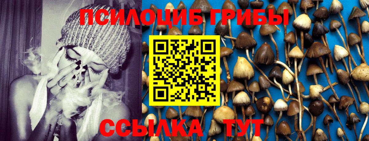 Галлюциногенные грибы Cubensis Артём